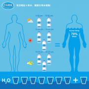 巴马景泉对人体肠胃和肾器官的优化调节作用