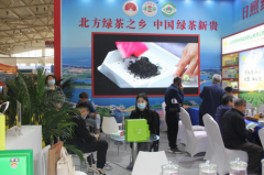 日照绿茶亮相第十三届（北京）国际茶博会