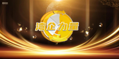 《湾企力量》——深圳市中电辰星科技有限公司新闻报道