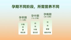 聚焦孕期女性分阶营养需求，a1+孕研所开启首发尝试